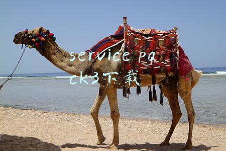 xp service pack3下载(c(相机远程控制软件)v2.33.1激活版)