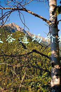 五谷道场价格高(五谷道场“衰败史”：3年疯狂扩张却以白菜价被卖，央企也救不活)