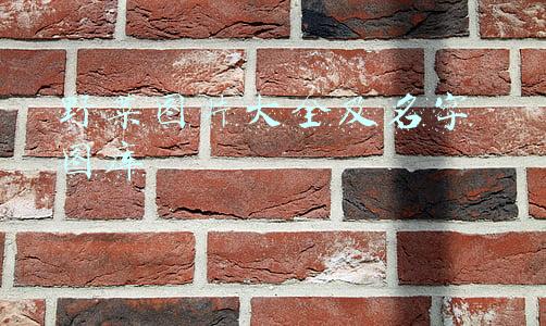 常见野菜图片大全及名字 图库(最美味的15种野菜，咋做都好吃，春天不要错过)