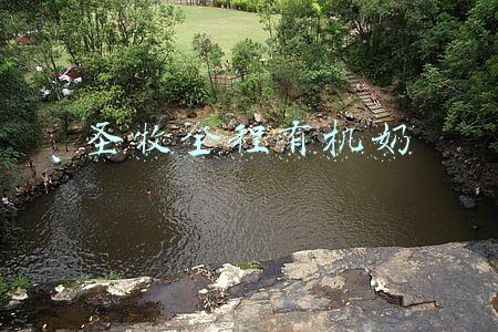 圣牧全程有机奶好不好(沙草有机循环产业缔造圣牧全程有机奶)