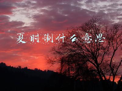 夏朝的夏历是什么意思(中国是华夏民族，夏朝用“夏”做名字，可“夏”到底是什么意思？)