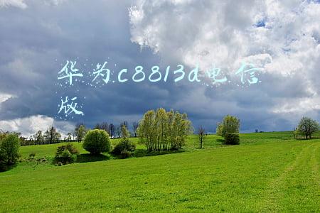 华为c8813d电信版