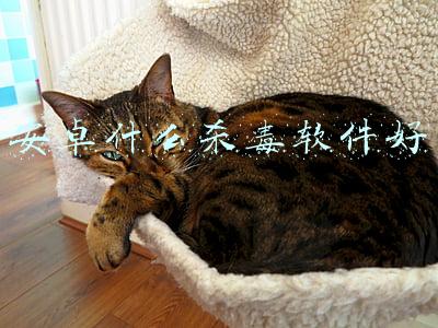 安卓什么杀毒软件好