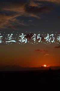 荷兰高钙奶粉