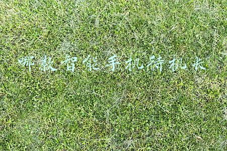 最长的智能手机(这手机，可能是全球最长的手机)