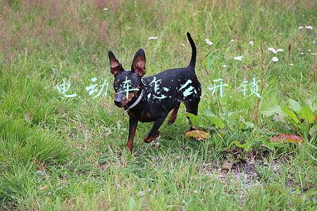 电动车怎么开锁