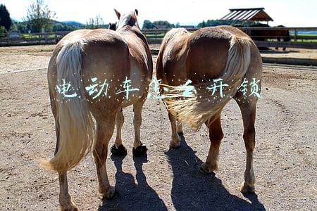 电动车怎么开锁