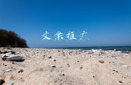 文案推广