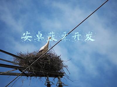 安卓蓝牙开发前景(蓝牙技术的优势及其发展前景)