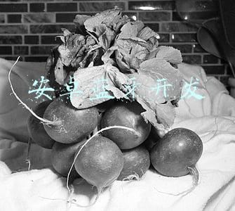 安卓蓝牙开发者里面怎么设置(不被注意的手机开发者选项里，藏着这些好用的功能)