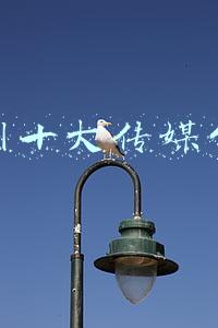 郑州十大传媒公司