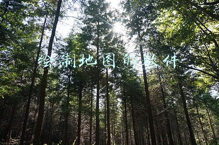 绘制地图的软件