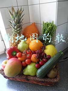 绘制地图的软件