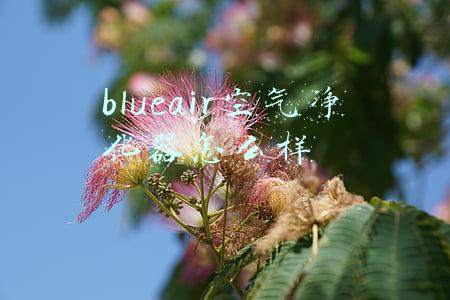 blueair空气净化器怎么样