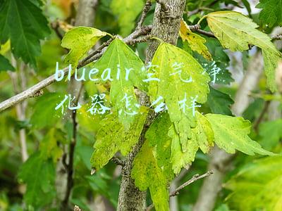 blueair空气净化器怎么样