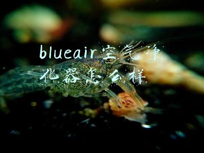 blueair空气净化器怎么样