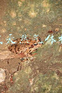 手持式天然气检测仪器(武汉天然气每天推进10个小区安检，入户全面排查用气隐患)