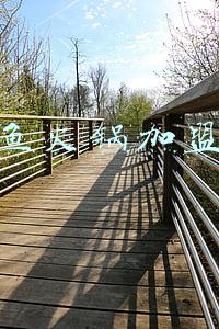 斑鱼火锅哪里可以加盟(消费参考丨星巴克，习惯性涨价)