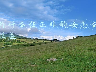 为什么任正非的女怎么姓孟