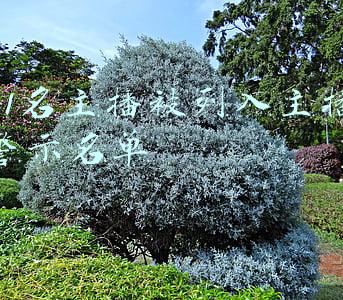 41名主播被列入主播警示名单