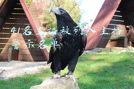 41名主播被列入主播警示名单