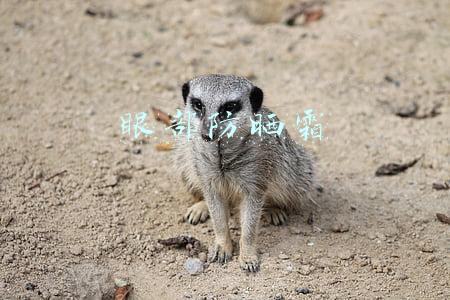 眼部防晒霜排行榜(孕妈都说好用的小众眼霜品牌，人气高口碑好，值得回购)