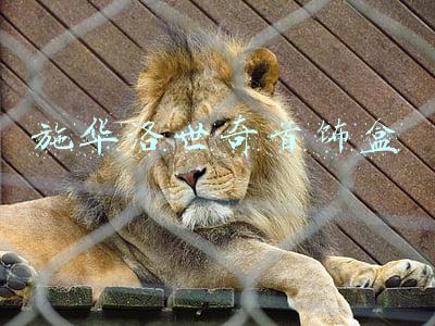 施华洛世奇首饰盒尺寸(亚洲首家、上海最大！淮海路新添两家“有腔调”的旗舰店)