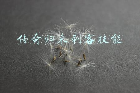 传奇归来刺客技能