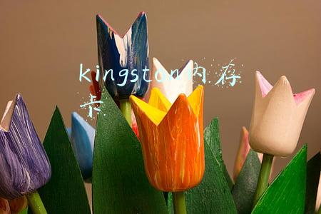 kingston内存卡