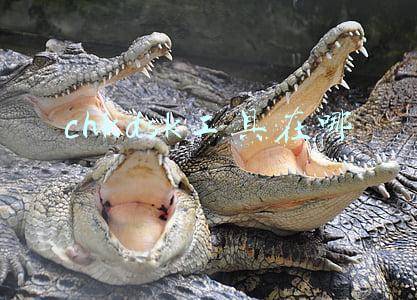 chkdsk工具在哪