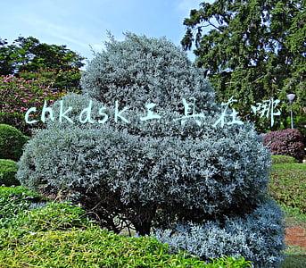 chkdsk如何使用(系统小技巧：解决CHKDSK只读模式问题)