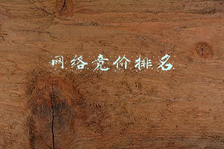 网络竞价赚钱(竞拍APP拍字画赚快钱？有人1天损失20万)