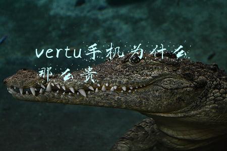 vertu手机官网价格表最贵(289万元！VERTU眼镜蛇手机来了：439颗红宝石亮瞎眼)