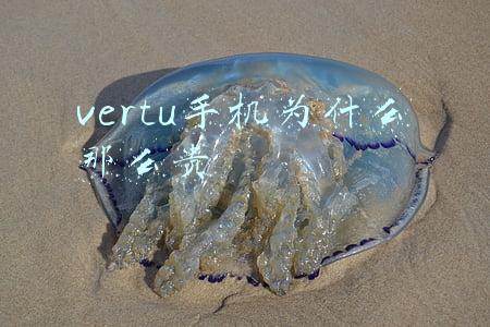vertu手机为什么那么贵