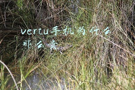 vertu手机为什么那么贵