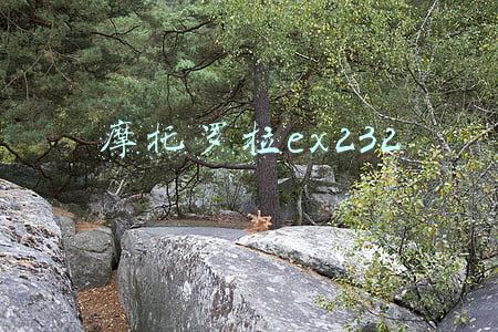 摩托罗拉ex232评测(大牌的性价比超群！铠侠（原东芝存储器）256GB 存储卡评测)