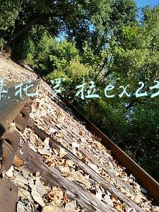 摩托罗拉ex232怎么样(“基因”（Gene）一词是怎么来的？| 商周专栏)