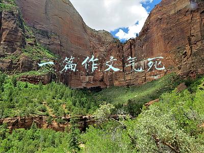一篇作文气死