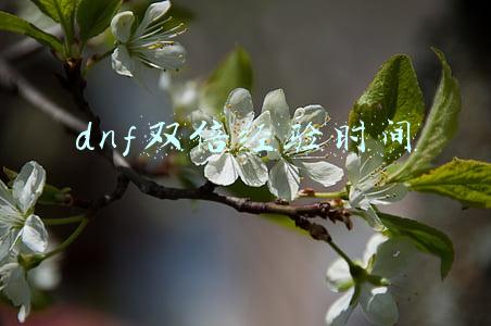 dnf每周奖励次数(DNF：团本周常要减负，从零开始毕业还要多久？)