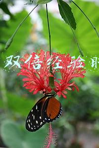 dnf公会本周几双倍(DNF：新版本各大副本次数刷新时间一览，玩家应该如何合理安排？)