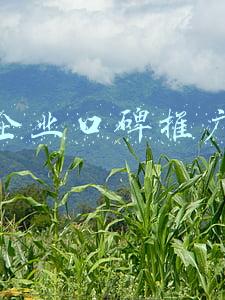 推动口碑推广形成(口碑营销怎么做？如何做好网络口碑营销推广？)