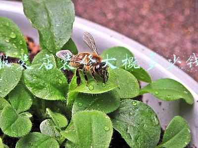 在无锡开服装店要多少钱（开服装店要多少钱）