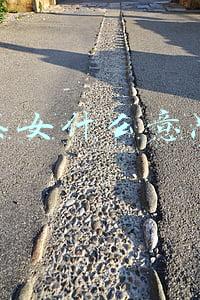 绿茶女什么意思啊