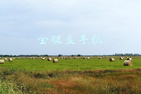 全键盘手机