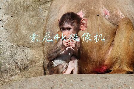 索尼4k摄像机
