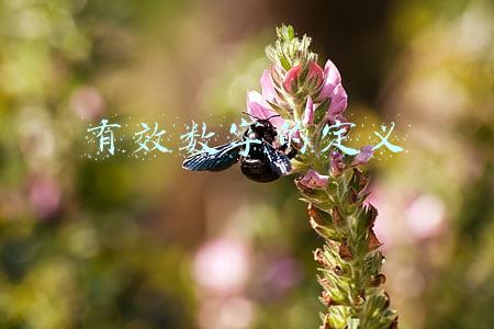 有效数字的定义及举例(初中数学 命题老师最爱用的考点、易错点，值得收藏)