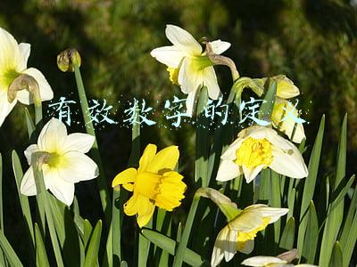 有效数字的定义例子(阿拉伯数字、野兽数及罗马数字)