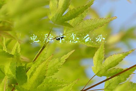 电脑非常卡怎么处理(电脑总是卡卡卡？所有电脑请这样设置，让性能瞬间翻倍)