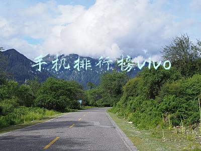 手机排行榜vivo