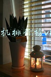 手机排行榜vivo